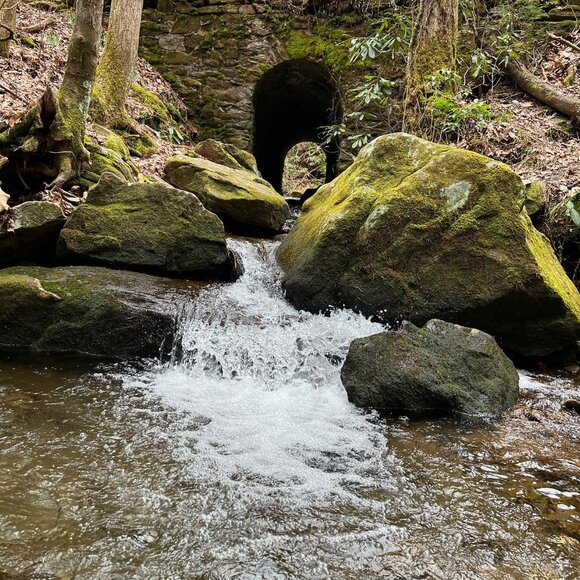 Meet your Posher, Patricia - Picture 6 of 6